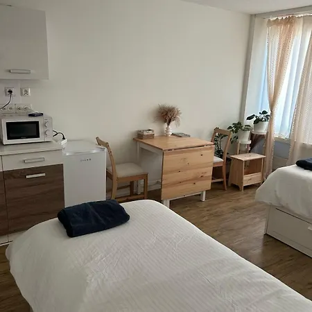 Zurich Hotel Studio Zurigo