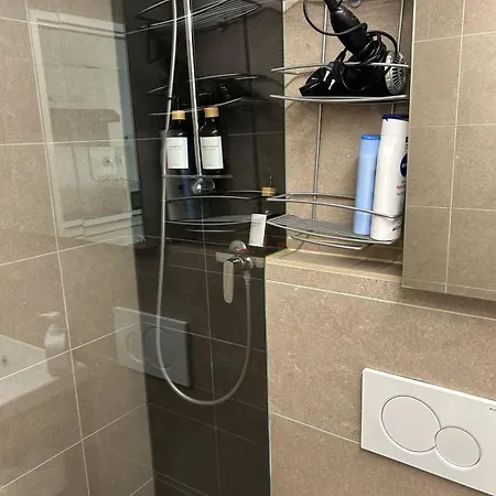 Zurich Hotel Studio 3* Zurigo